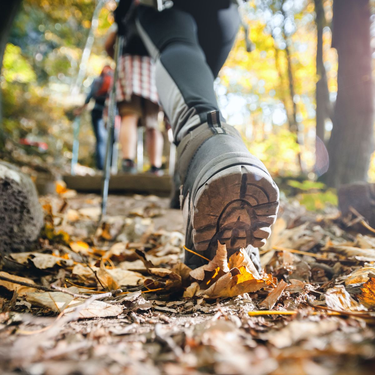 LimesLoop – Pohler Wandermarathon